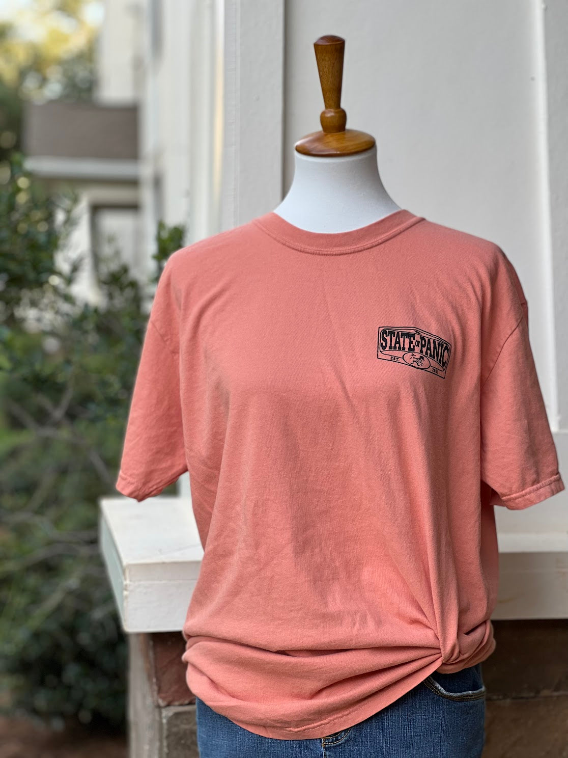 Terracotta Comfort Colors T-Shirt